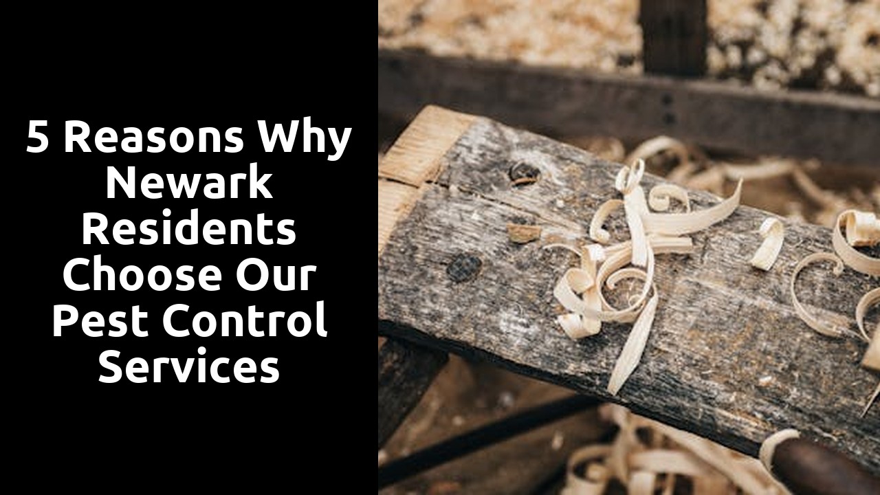 5 Reasons Why Newark Residents Choose Our Pest Control Services